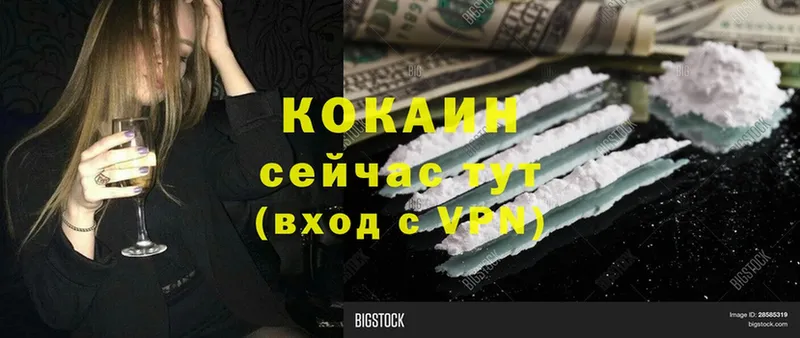 Cocaine Эквадор Новодвинск